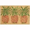 Top 10 ✔️ Waverly Greetings "Pineapple" Orange Doormat WGT25 1'6" x 2'4" 🥰