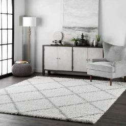Best reviews of ⭐ Shanna Shaggy White Rug - nuLOOM 🧨