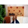 New 🥰 Shiraleah Hello Fall Doormat 👏