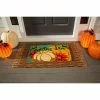 Best reviews of 🎁 Evergreen Soft Pumpkins Indoor Outdoor Natural Coir Doormat 1'4"x2'4" Multicolored 🎁