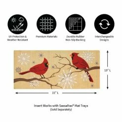 Best reviews of 🌟 Evergreen Feathers and Snow Sassafras Indoor Outdoor Switch Doormat 1'10"x10" Beige 💯