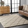 Best Pirce ✔️ nuLOOM Deloise Trellis Shag Area Rug 👍